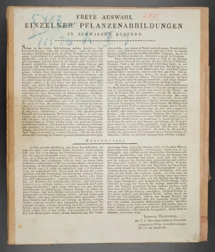 Freye Auswahl einzelner Pflanzenabbildungen in schwarzen Kupfern.