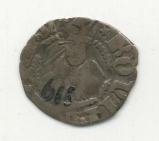 bolognino