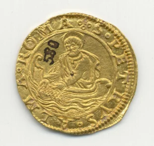 fiorino di camera