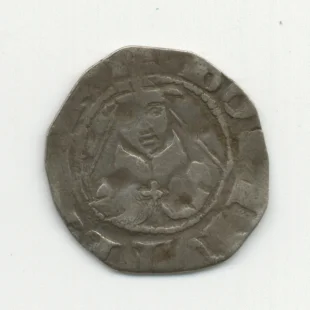 bolognino