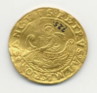 fiorino di camera