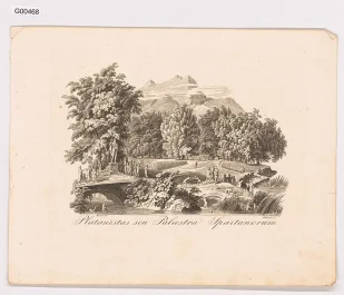 Palaestra