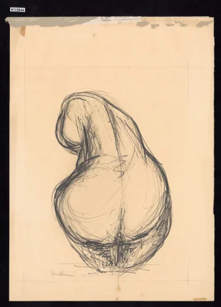 Torzo - studie