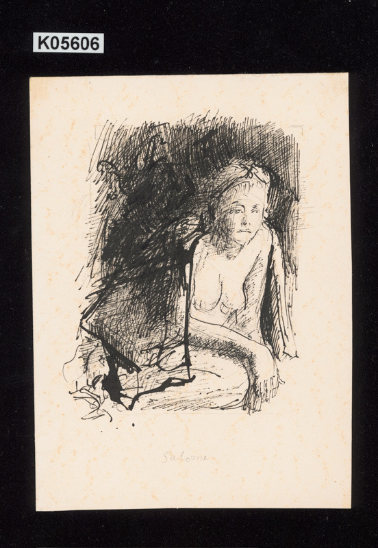 Ilustrace k S. K. Neumannovi - Salome