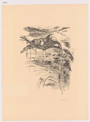 Leopard, Irák, 2. list