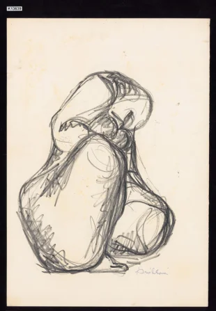 Torzo - studie