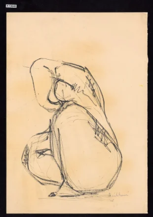 Torzo - studie