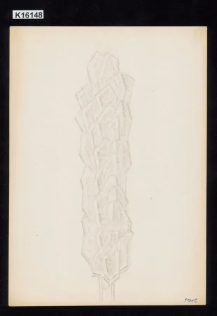 Topol II