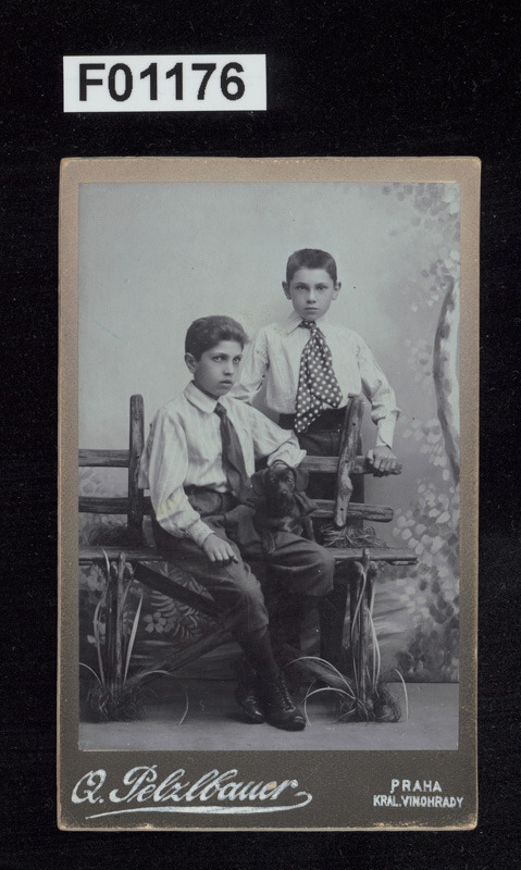 kabinetní portrétní vizitková fotografie