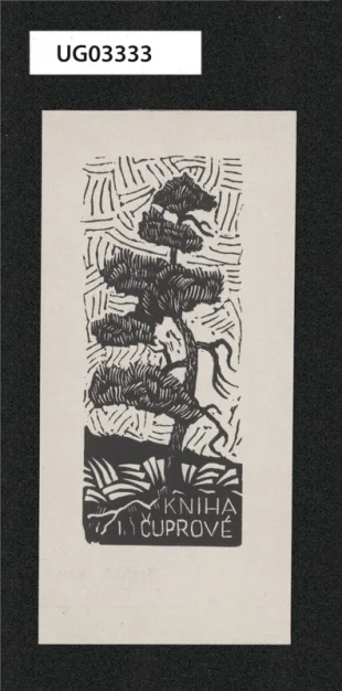 Kniha J. Čuprové