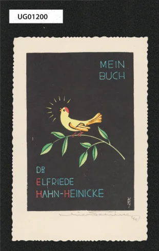 Mein Buch  Dr. Elfriede Hahn-Heinicke