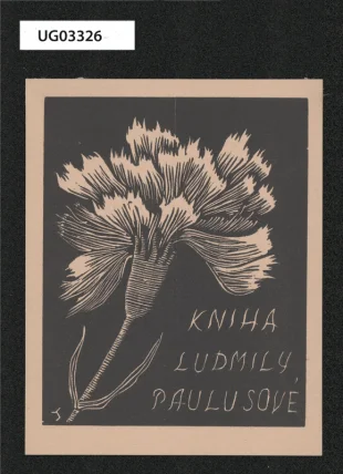 Kniha Ludmily Paulusové