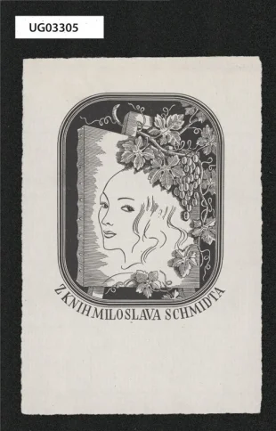 Z knih Miloslava Schmidta