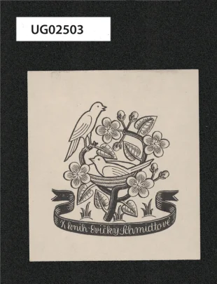 Z knih Evičky Schmidtové