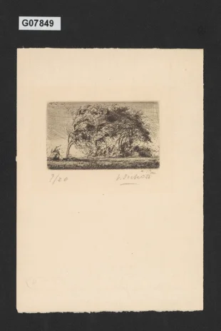Ilustrace S. K. Neumanna (stromy ve větru)