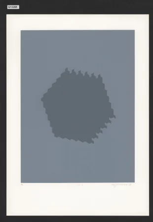 Struktura 193, Studie konečné plošné struktury 1979-1985 (soubor 30 grafických listů)