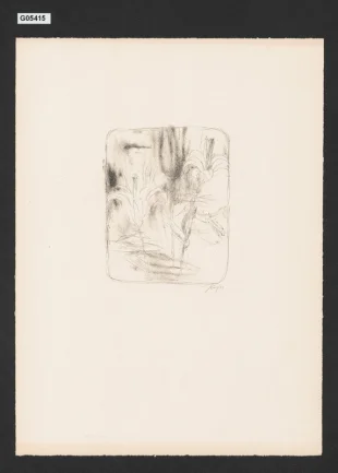 Marianna Alcoforado: Portugalské listy, ilustrace
