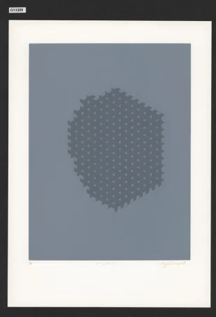 Struktura 193, Studie konečné plošné struktury 1979-1985 (soubor 30 grafických listů)