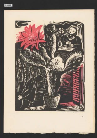 Červený květ, ilustrace ke Slezským písním P. Bezruče