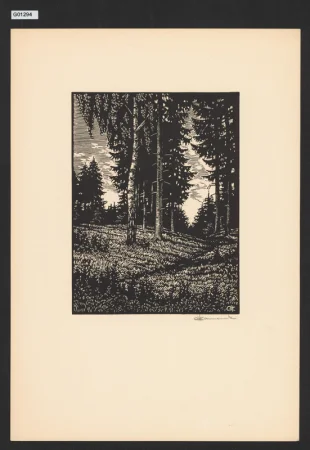 (Paseka v lese)