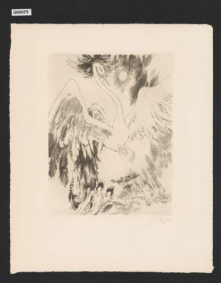 (Fénix)