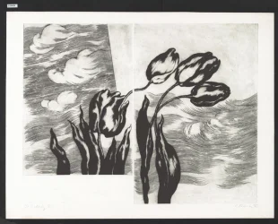 Tulipány II