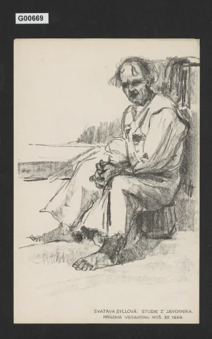 Studie z Javorníka (Příloha Veraikonu)