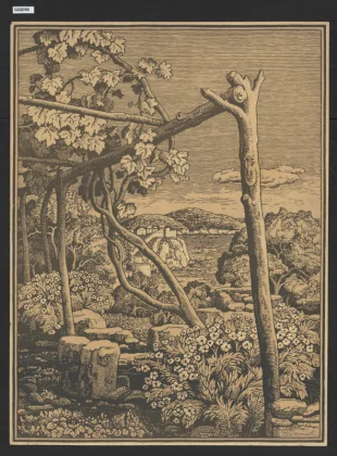 Pohled na Dubrovník II