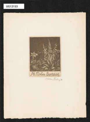 Ph. Mr. Eva Bartošová