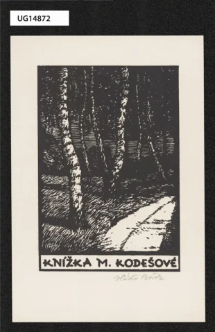 Knížka M. Kodešové