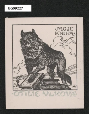 Moje kniha Otilie Vlková