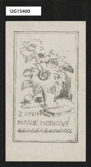 Z knih Marie Norkové