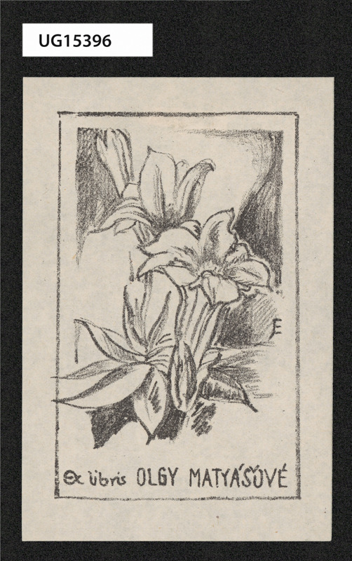 Ex libris Olgy Matyášové