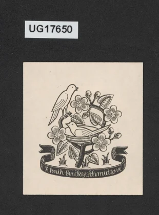 Z knih Evičky Schmidtové