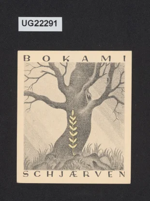 Bok ami Schjaerven