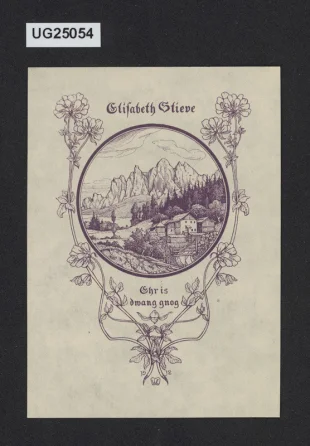 Elisabeth Stieve