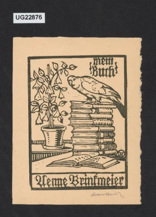 Mein Buch Aemie Brinkmeier