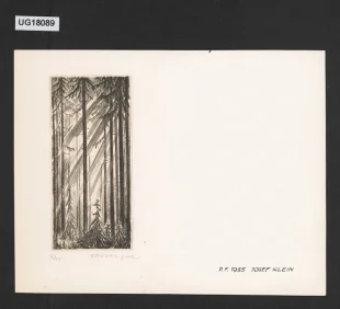 P. F. 1955 JOSEF KLEIN