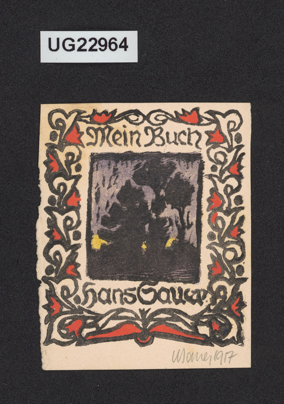 Mein Buch/Hans Sauer