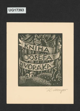 Kniha Josefa Dvořáka