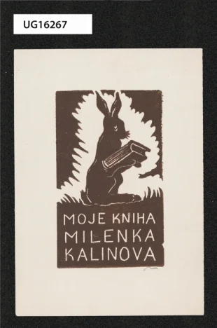 Moje kniha / Milenka Kalinová