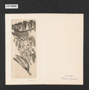 P. F. 1955 Rostislav Dostál