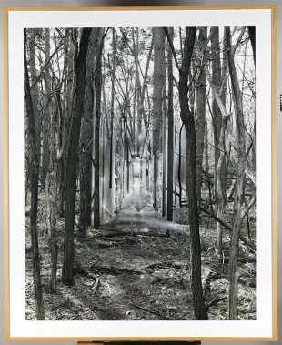 Vyvidenie (diptych)