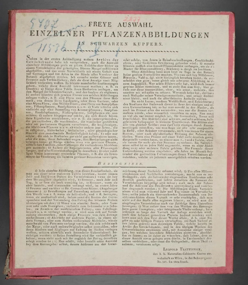 Freye Auswahl einzelner Pflanzenabbildungen in schwarzen Kupfern.