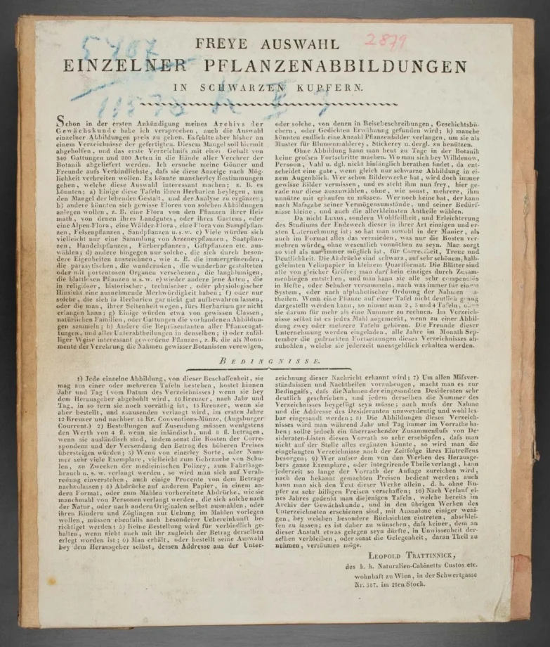 Freye Auswahl einzelner Pflanzenabbildungen in schwarzen Kupfern.