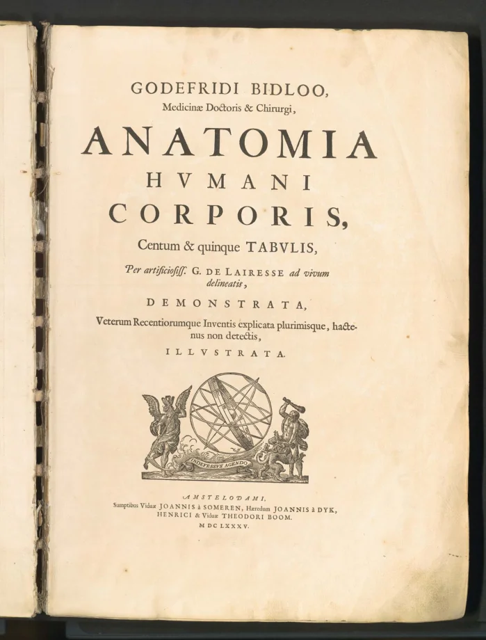 GODEFRIDI BIDLOO, Medicinae Doctoris & Chirurgi, ANATOMIA HVMANI CORPORIS