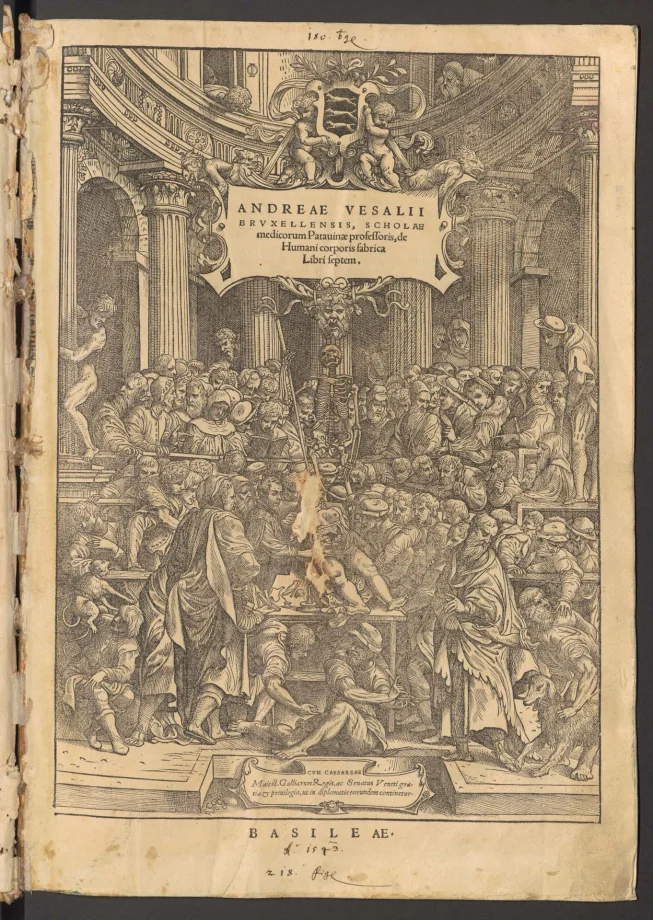 ANDREAE VESALII BRVXELLENSIS, SCHOLAE medicorum Patauinae professoris, de Humani corporis fabrica libri septem