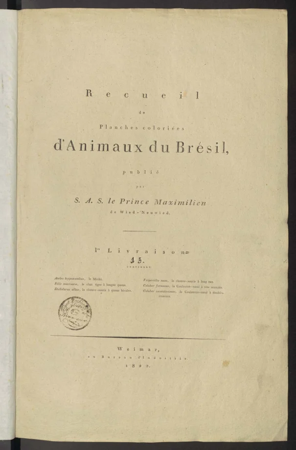 Recueil de planches coloriées d'animaux du Brésil 