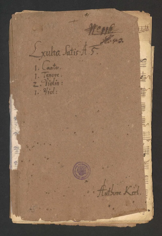 Exulta Satis