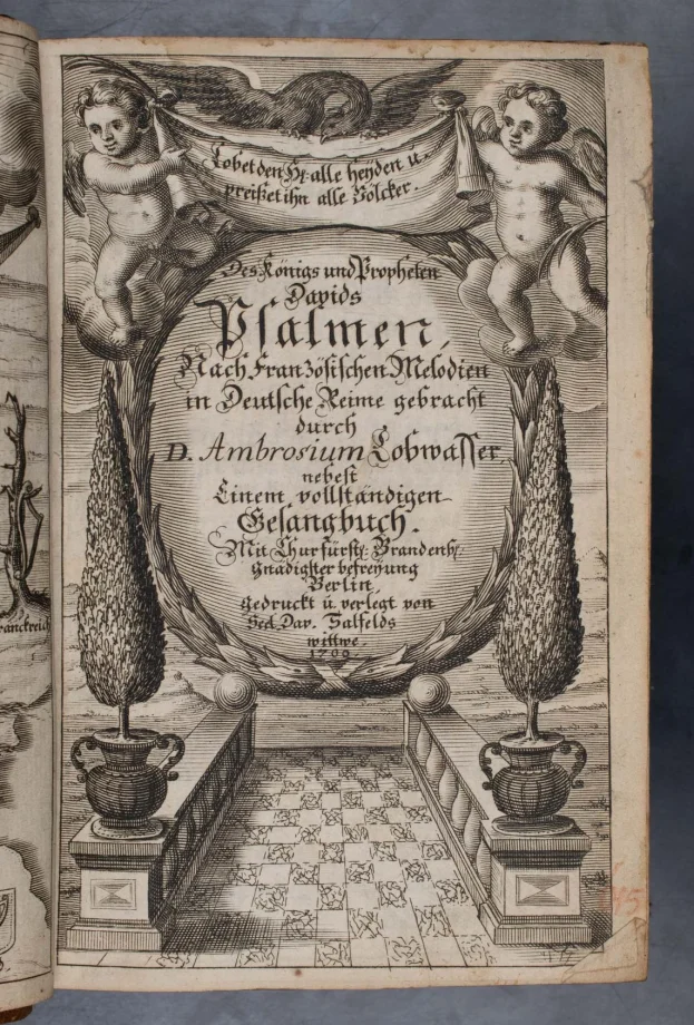 Des Königs und Propheten Davids Psalmen